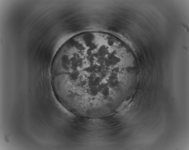 X0000091341239200708241216