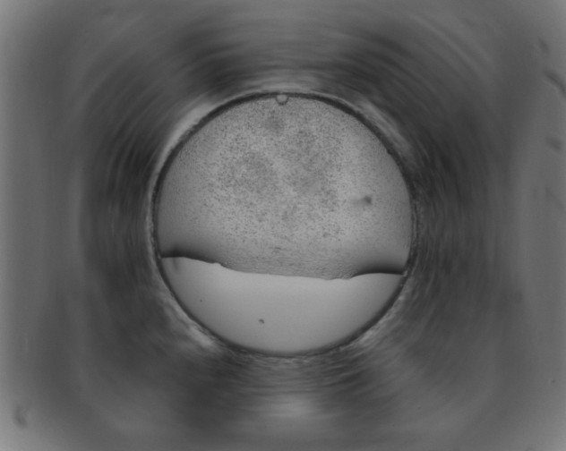 X0000091341240200708241216