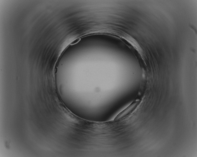 X0000091341242200708241216