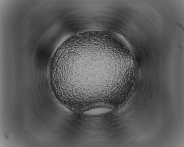 X0000091341243200708241216