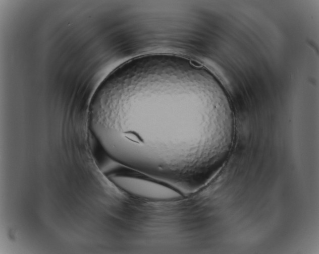 X0000091341244200708241216