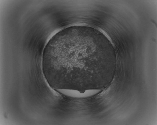 X0000091341245200708241216