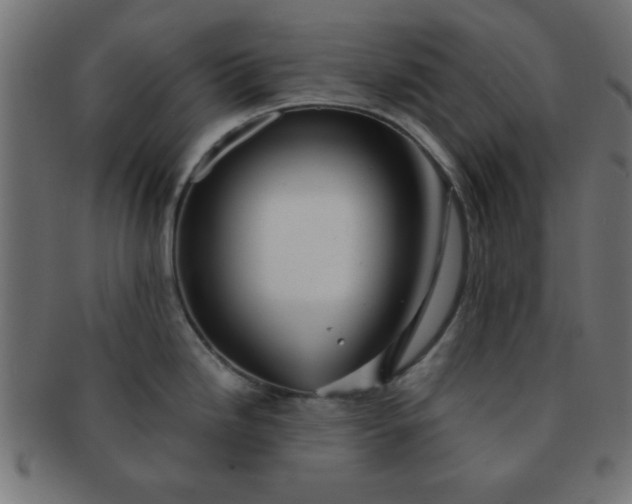 X0000091341246200708241216