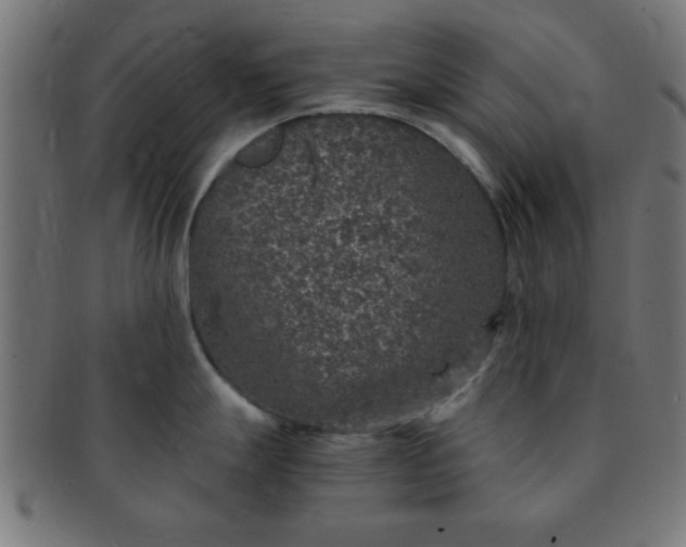 X0000091341247200708241216