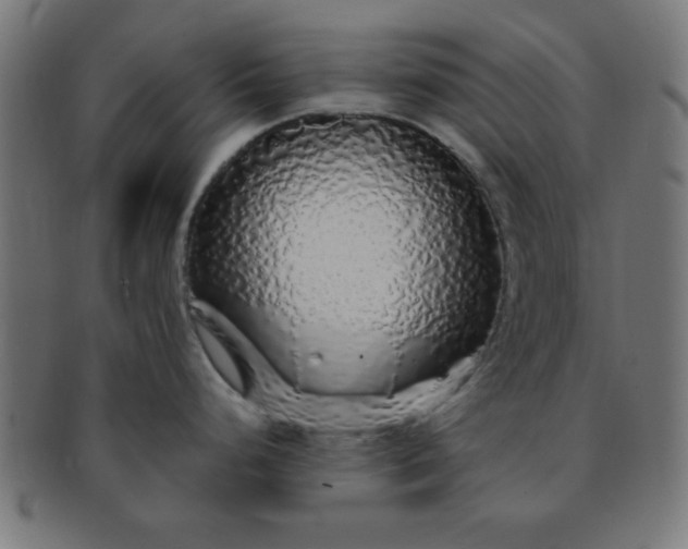 X0000091341248200708241216