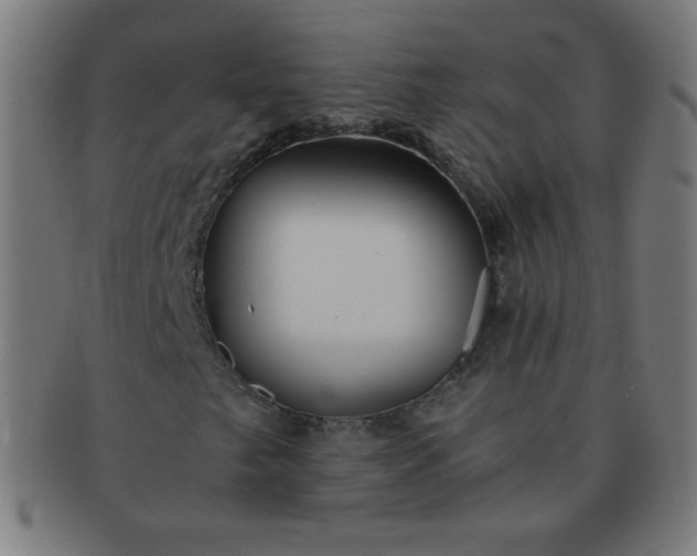 X0000091341249200708241215