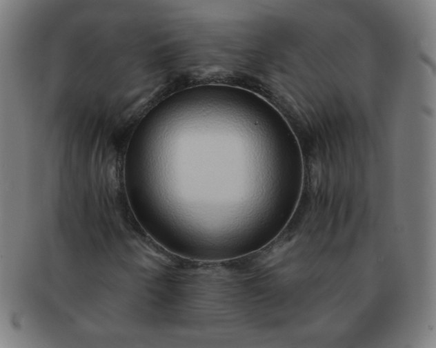 X0000091341250200708241215