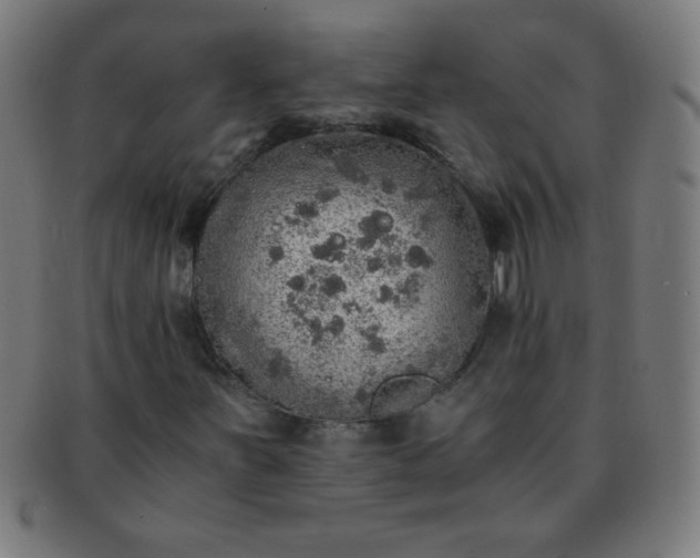 X0000091341251200708241215