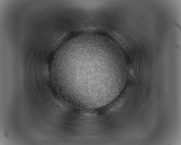 X0000091341252200708241215