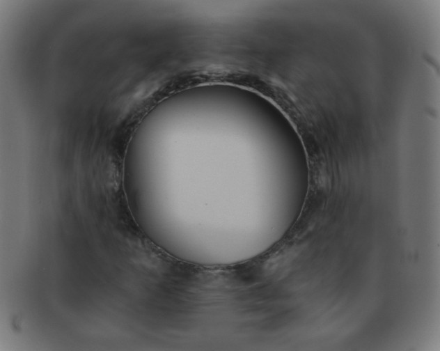 X0000091341253200708241215