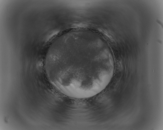 X0000091341254200708241215