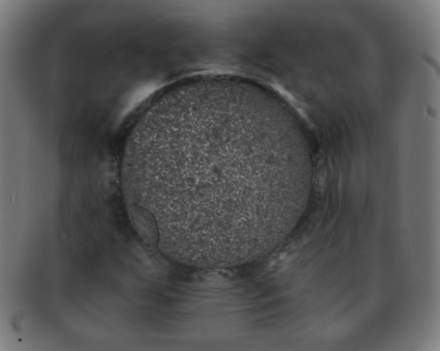 X0000091341255200708241215