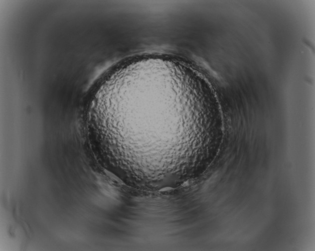 X0000091341256200708241215