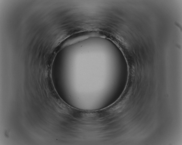 X0000091341257200708241215