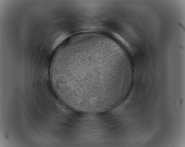 X0000091341259200708241215