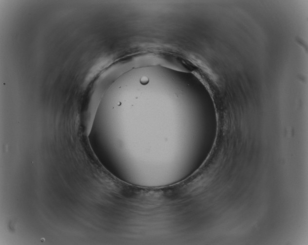 X0000091341261200708241215