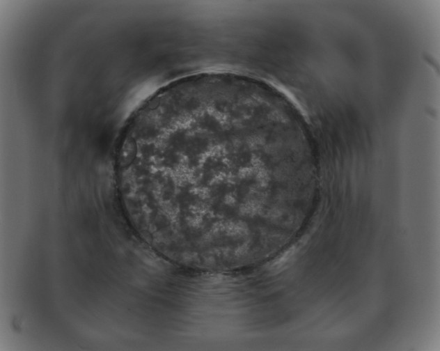 X0000091341263200708241215