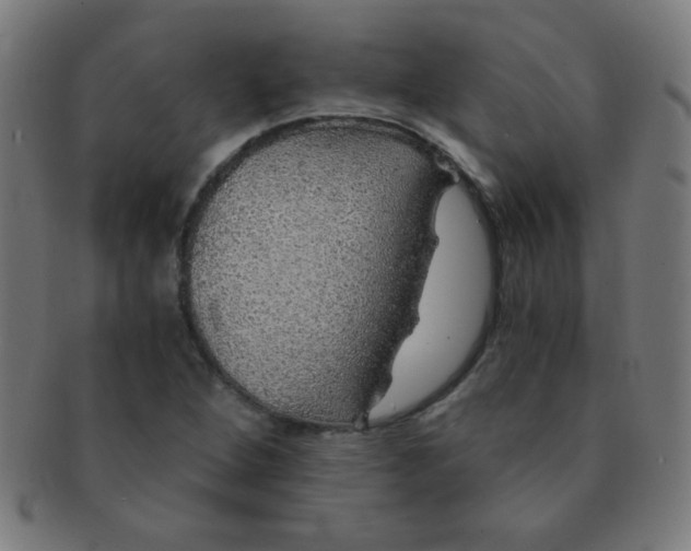 X0000091341264200708241215