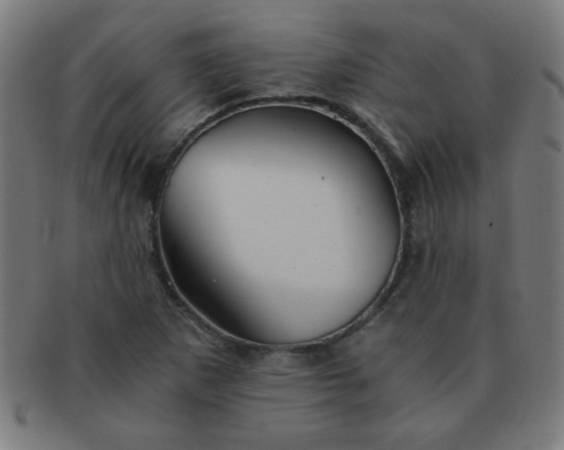 X0000091341265200708241215