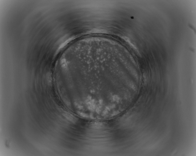 X0000091341266200708241215