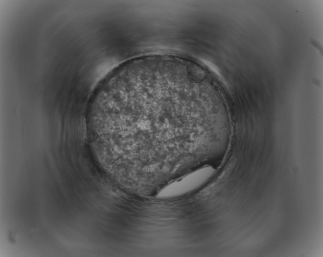 X0000091341267200708241215