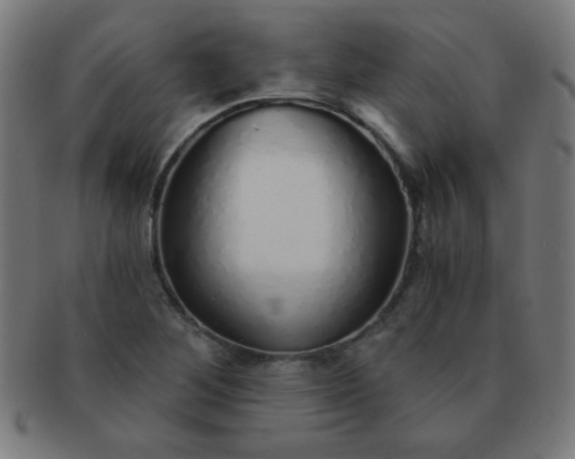 X0000091341268200708241215