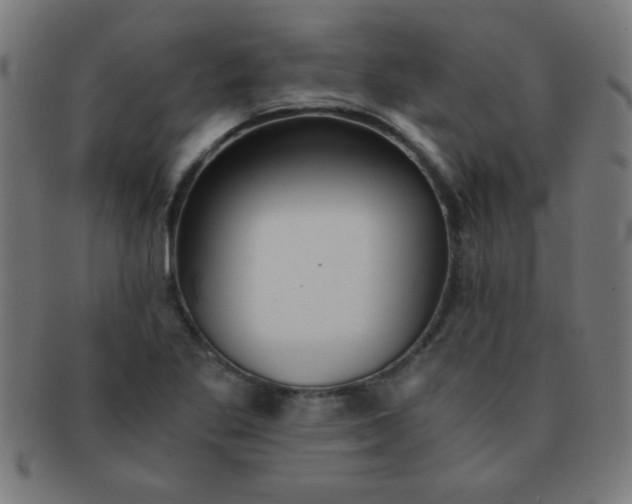 X0000091341269200708241215