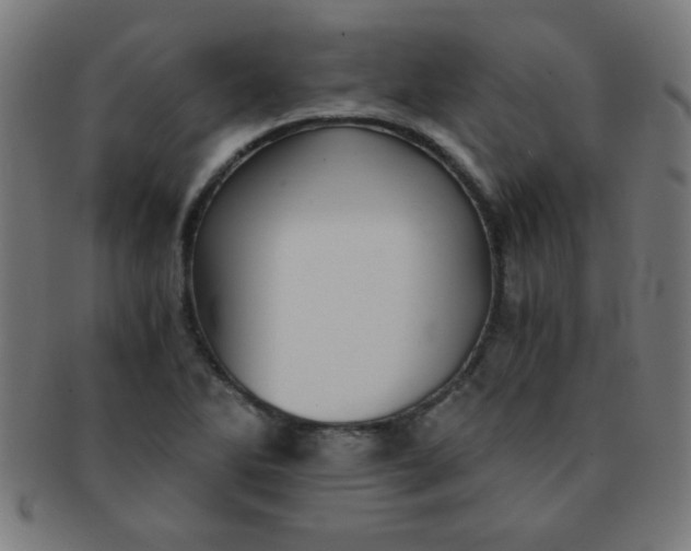 X0000091341270200708241215