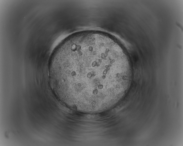 X0000091341271200708241215