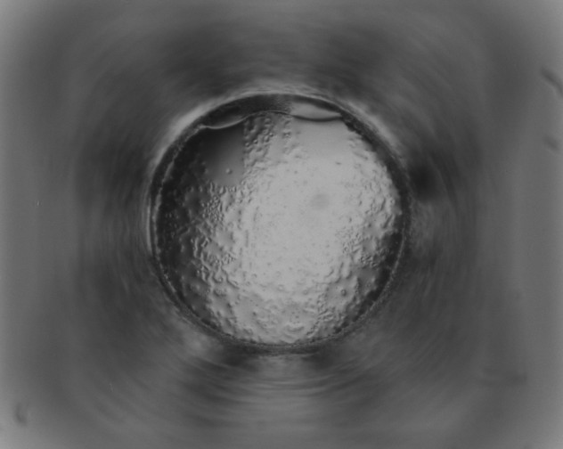 X0000091341272200708241215