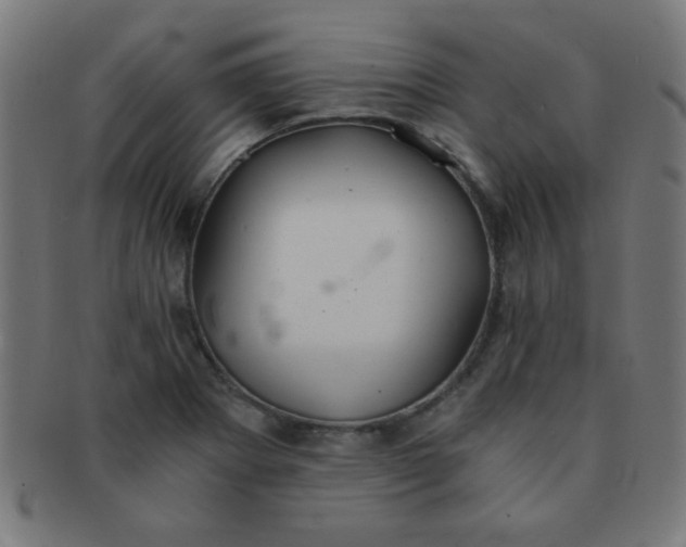 X0000091341273200708241215