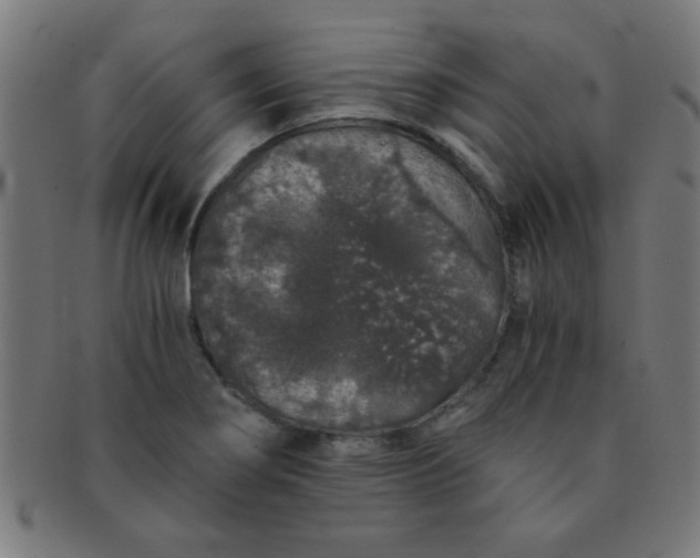 X0000091341274200708241215