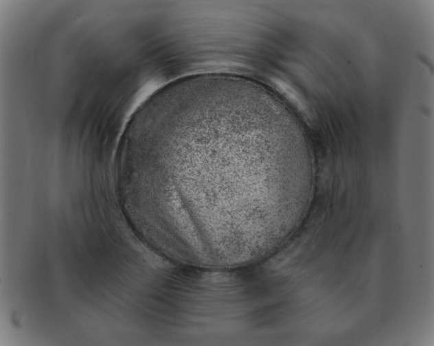 X0000091341275200708241215