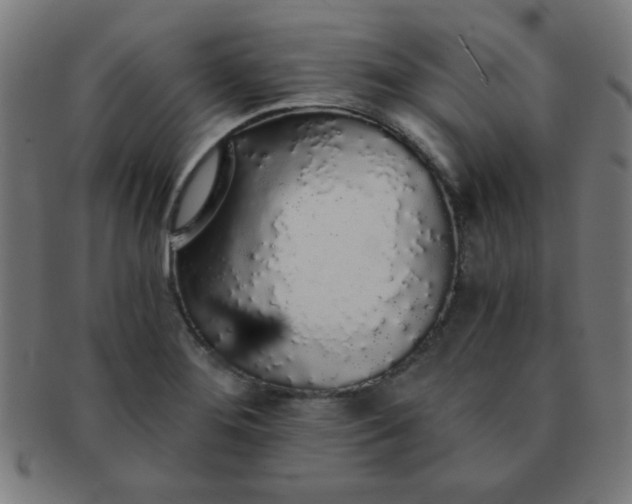 X0000091341276200708241215