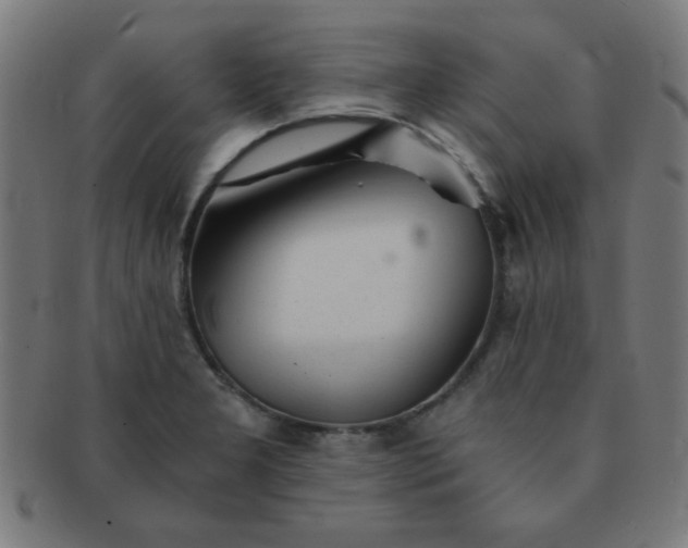 X0000091341277200708241215