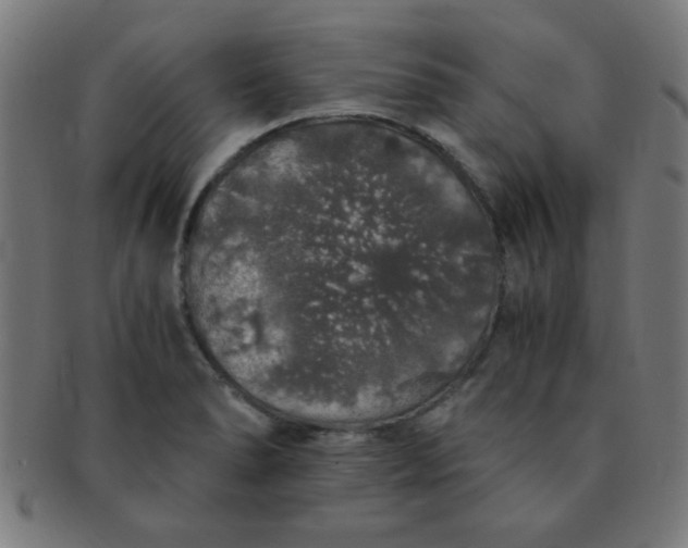 X0000091341278200708241215