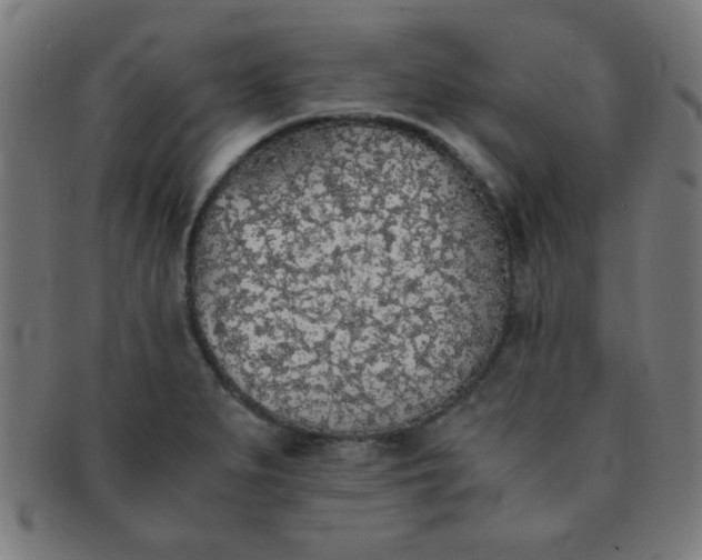 X0000091341279200708241215