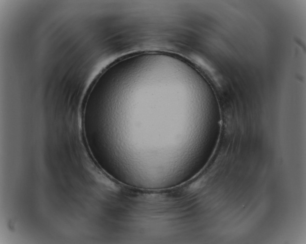 X0000091341280200708241215