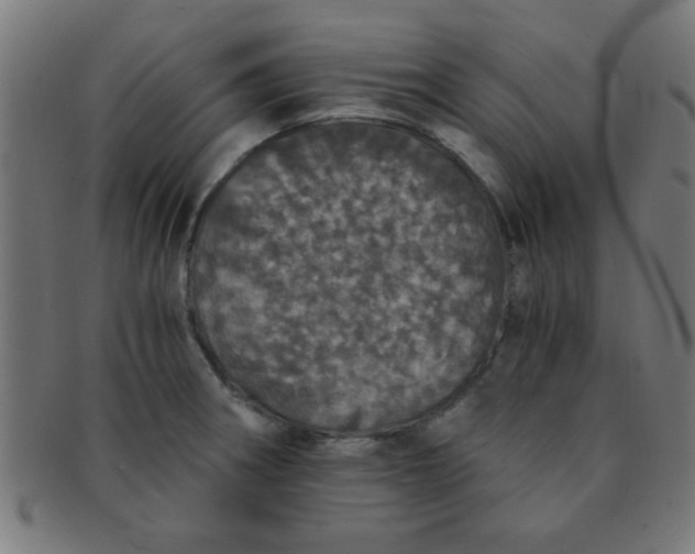 X0000091341282200708241215