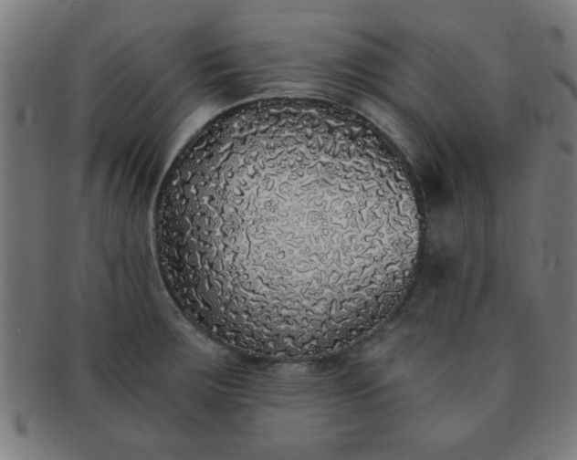 X0000091341283200708241215