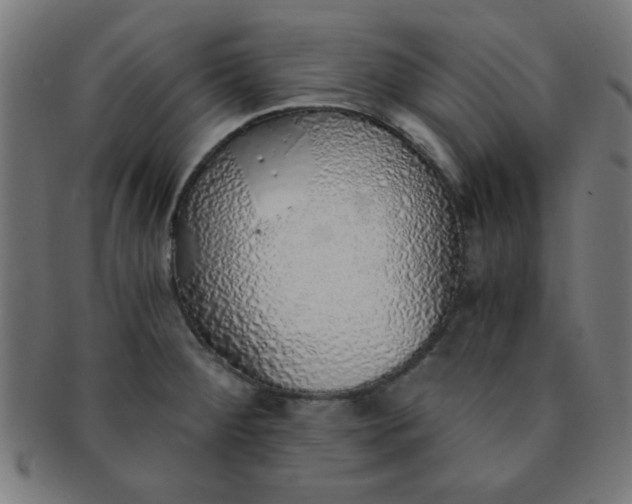 X0000091341284200708241215