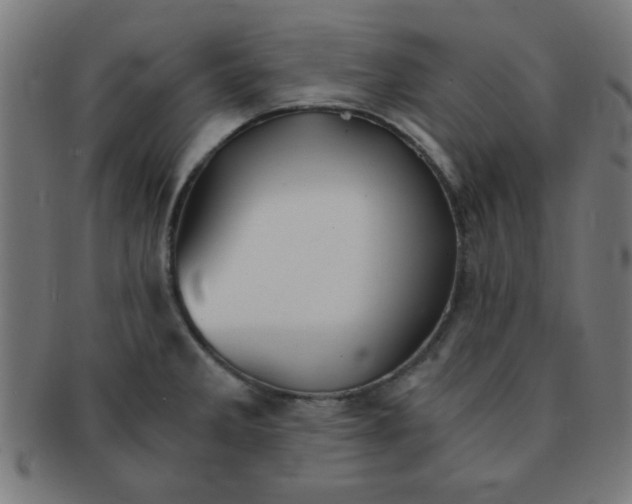 X0000091341285200708241215