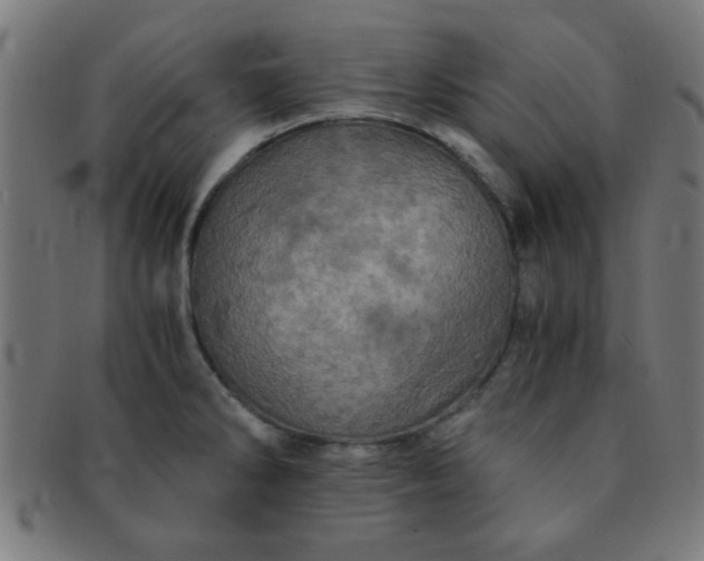 X0000091341286200708241215