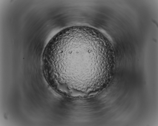 X0000091341287200708241215