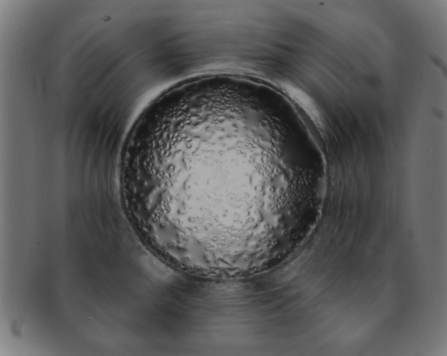 X0000091341288200708241215