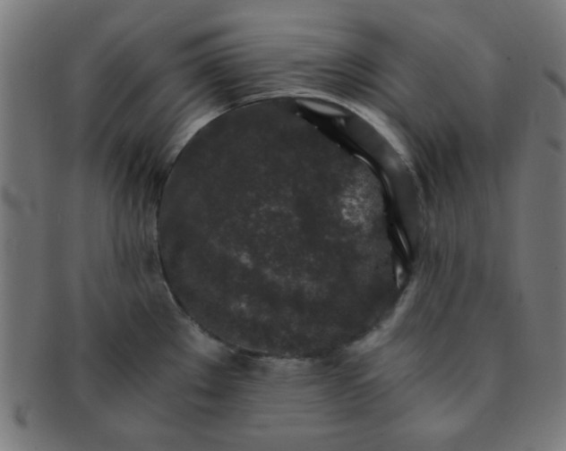 X0000091341289200708241215