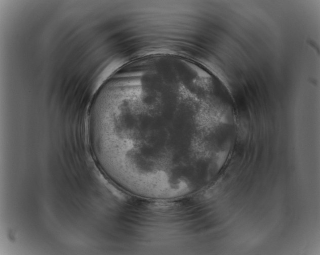 X0000091341290200708241215