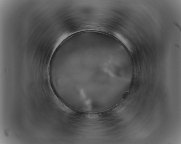 X0000091341291200708241215