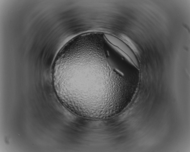 X0000091341292200708241215