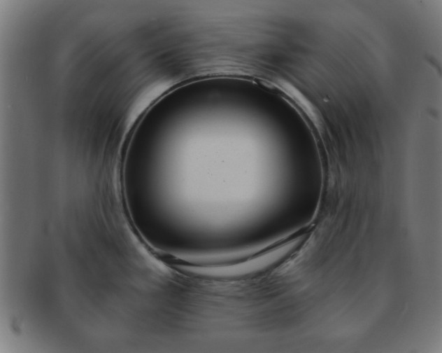 X0000091341293200708241215